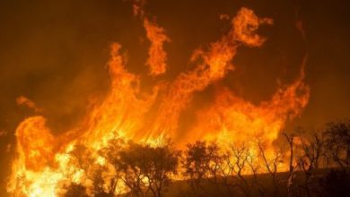 How Many Times Have People Been Warned To Leave The State Of California?