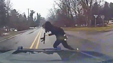 Dashcam Shows Southfield Police Officers Pursue and Arrest Armed Carjacking Suspect