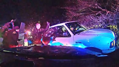 Deputies Use PIT Maneuver and K9 to Capture DUI Suspect