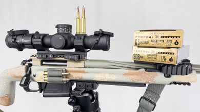 6.5 Creedmoor Vs. .308 Winchester: Which Wins?