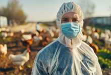 U.S. Ruling Class Will Continue To Cull Birds Because of Bird Flu