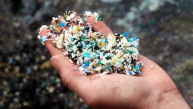 MICROPLASTICS In Wastewater Fuel Antibiotic Resistance, Study Warns