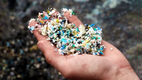 Russian Scientists: Microplastics Don’t Harm Humans