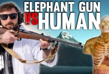 Elephant Gun Vs Human