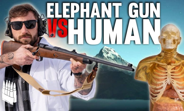 Elephant Gun Vs Human