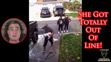 Argument Escalates To Woman Kicking Family Pet In California