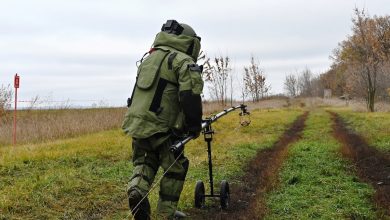 Poland, Baltics may withdraw from anti-personnel landmine treaty