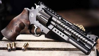 Best .44 Magnum Revolvers: A Buyer’s Guide