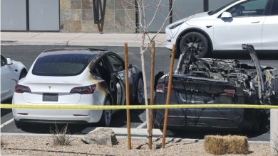 “Domestic Terrorism” Declared In Violent Tesla Attacks