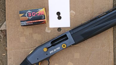 The Impressive Power Of 12-Gauge Slugs