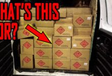 What’re the Narco Syndicates Preparing For? You Should Consider This…