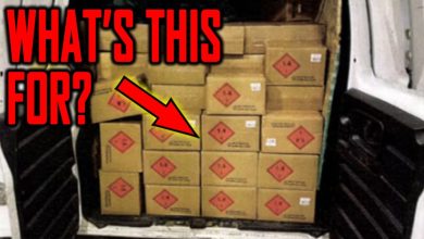 What’re the Narco Syndicates Preparing For? You Should Consider This…