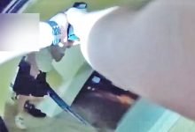 Cops Open Fire After Man Emerges With Shotgun During Domestic Call