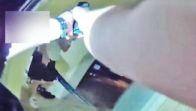 Cops Open Fire After Man Emerges With Shotgun During Domestic Call