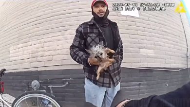 Suspect Throws Small Dog at Police Officer While Attempting Escape