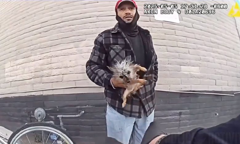 Suspect Throws Small Dog at Police Officer While Attempting Escape