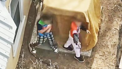 Two Young Kids Point Gun at Deputies During Standoff