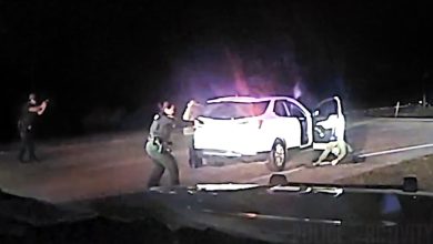 Gunfight Erupts After Wanted Fugitive Shoots Deputy In Florida