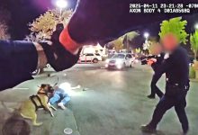 Elk Grove Officers Shoot Man Holding Loaded Revolver Outside In-N-Out