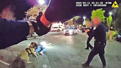 Elk Grove Officers Shoot Man Holding Loaded Revolver Outside In-N-Out