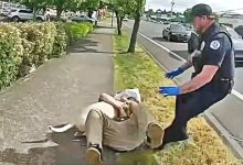 Taser Stops Man From Attacking His Own Dog