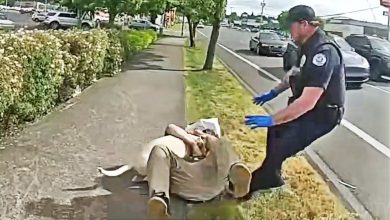 Taser Stops Man From Attacking His Own Dog