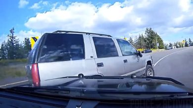 Deputy Uses PIT Maneuver to Stop Reckless Felon During Car Chase
