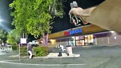 Armed Suspect Dodges Police Bullets During Foot Chase In California