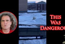 Polar Bear Comes After Villager On Remote Arctic Island