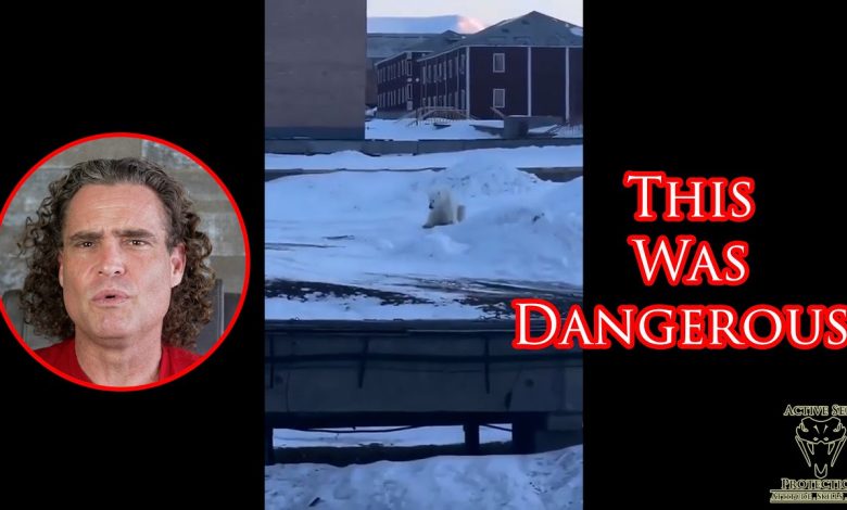 Polar Bear Comes After Villager On Remote Arctic Island