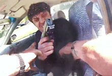 Armed Man Rants About Taliban and Opens Fire On Fairfax Cops In Fatal Traffic Stop
