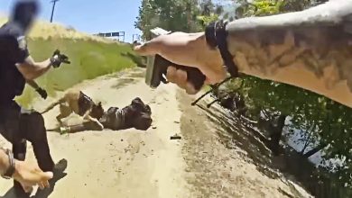 Suspect with BB Guns Flees Sacramento Cops Then Gets Taken Down by K9 and Shot