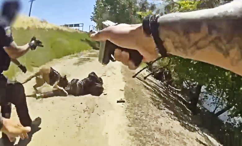 Suspect with BB Guns Flees Sacramento Cops Then Gets Taken Down by K9 and Shot