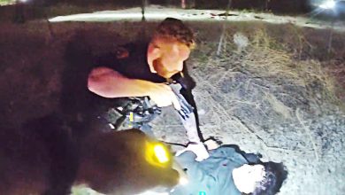 Police Chase Ends With Suspect Shot Near Railroad Tracks