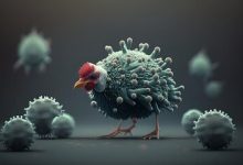 Antibody Therapy To Help Fight Bird Flu?