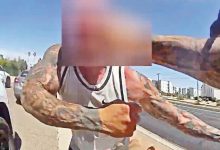 Enraged Man Berates and Fights Phoenix Cop After Traffic Stop