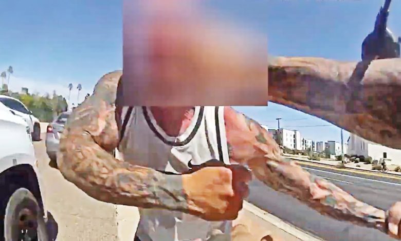 Enraged Man Berates and Fights Phoenix Cop After Traffic Stop