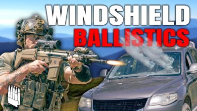 Urban Survival Principles: Automobile Glass