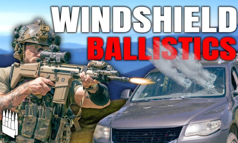Urban Survival Principles: Automobile Glass