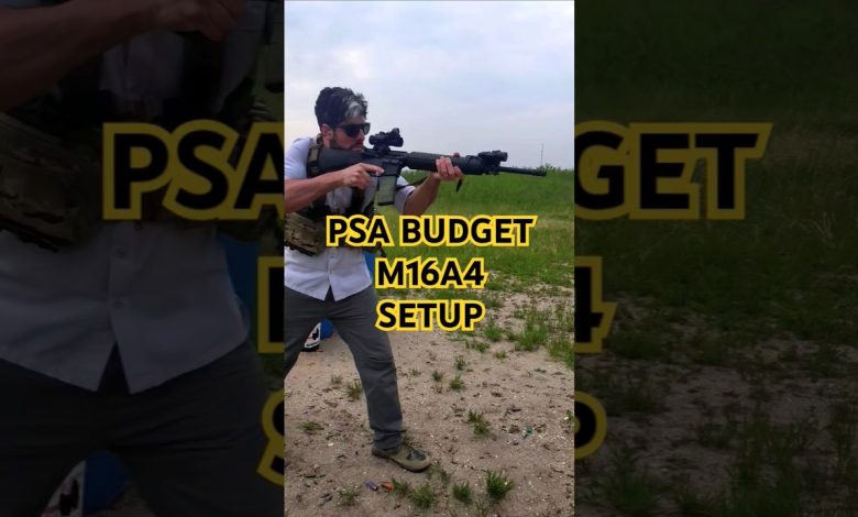 PSA Budget M16A4 Setup (get it done on the cheap) #20inch #m16 #shorts