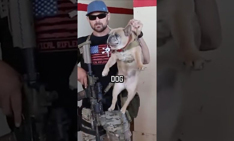NAVY SEAL ROOM CLEARING #military #shortsvideo #shorts #navyseal #training #youtubeshorts #dog