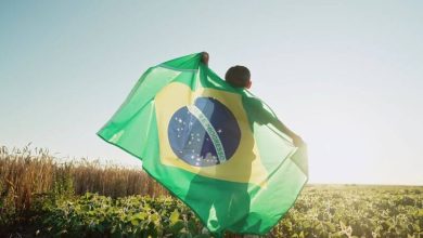 10 Must-Know Brazilian Hacks for Everyday Survival – Survivopedia