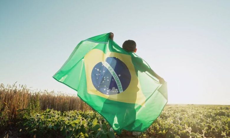 10 Must-Know Brazilian Hacks for Everyday Survival – Survivopedia 10 Must-Know Brazilian Hacks for Everyday Survival – Survivopedia