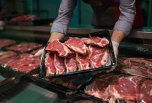 How To Check If Wild Animal Meat Is Good For Eating – Part I – Survivopedia