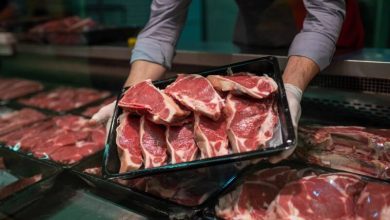 How To Check If Wild Animal Meat Is Good For Eating – Part I – Survivopedia