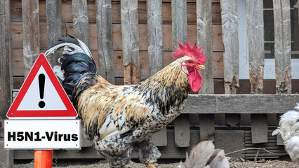 Public Health Experts Claim We Should Be Afraid of Bird Flu Public Health Experts Claim We Should Be Afraid of Bird Flu