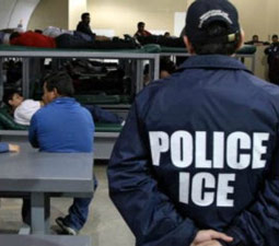 Why Trump Won’t Deport 18 Million Illegal Aliens Why Trump Won’t Deport 18 Million Illegal Aliens