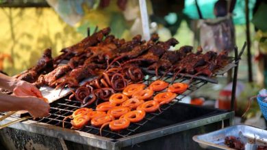 Eating Snake Meat – The Dos and Don’ts – Survivopedia