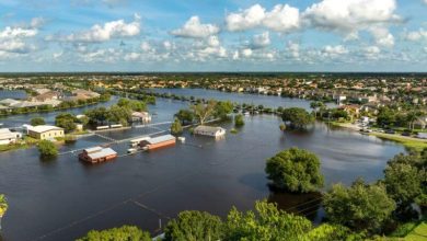 Surviving the Flood You Didn’t Plan For – Survivopedia