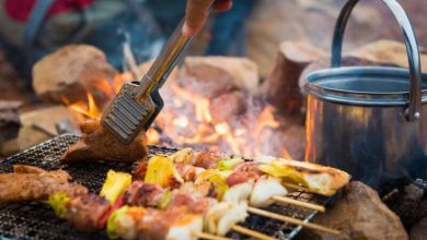 How To Check If Wild Animal Meat Is Good For Eating – Part II – Survivopedia